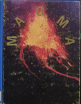 Magma 1984 by Associated Students of the Montana State School of Mines.