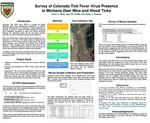 Survey of Colorado Tick Fever Virus Presence in Montana Deer Mice and Wood Ticks